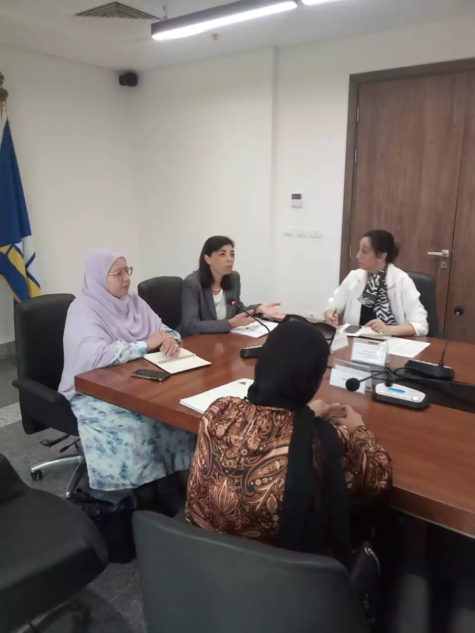 H.E. Ambassador Dina El Sehy Discusses with the Head of Protection Committees in Damietta Strengthening Cooperation to Combat Human Trafficking Crimes